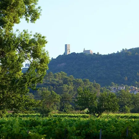 Chateau De Saint Martin 3* Taradeau